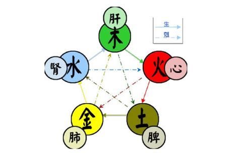 五行金|五行（对万事万物的取象比类）